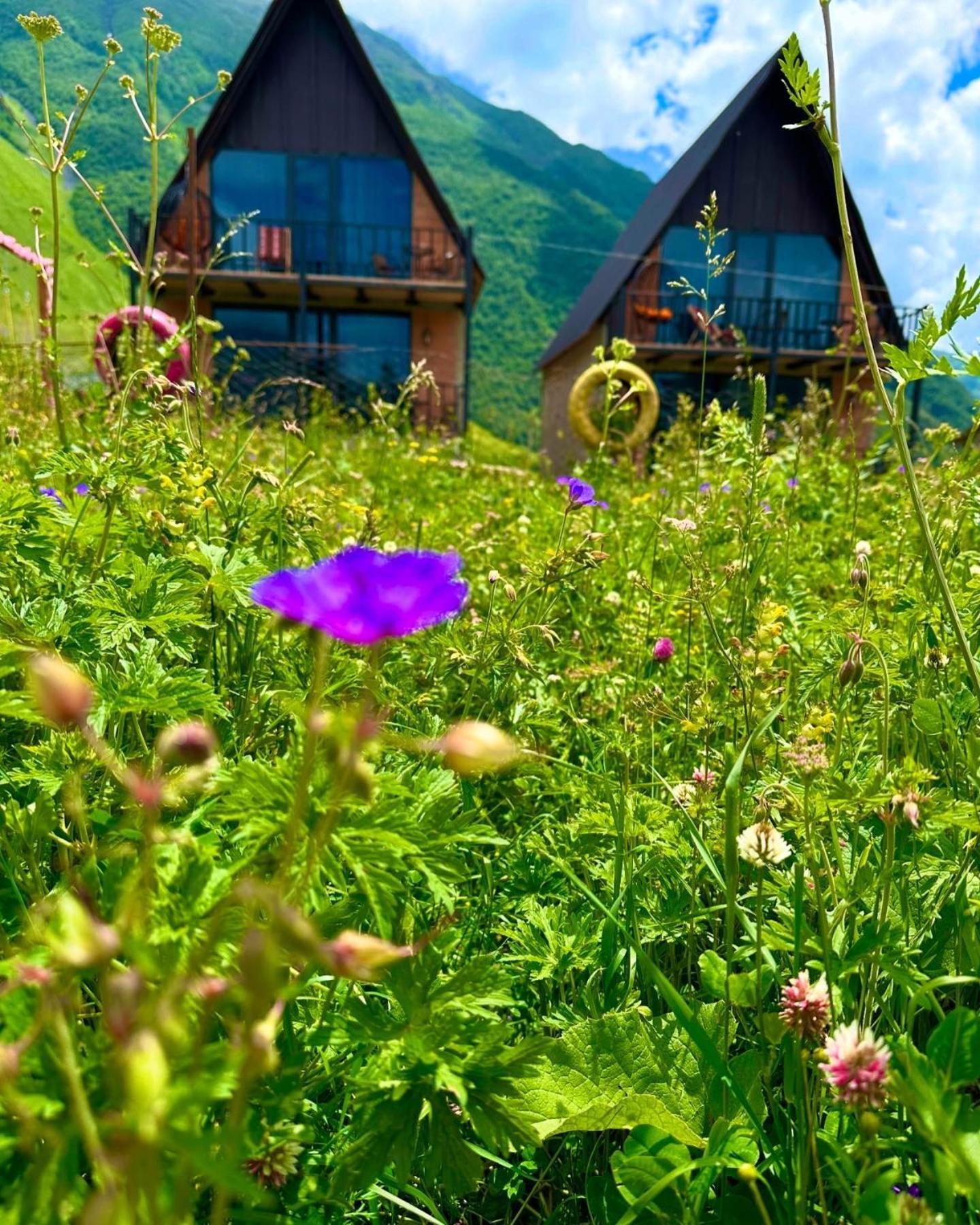 Royal Cottages Kazbegi Dış mekan fotoğraf