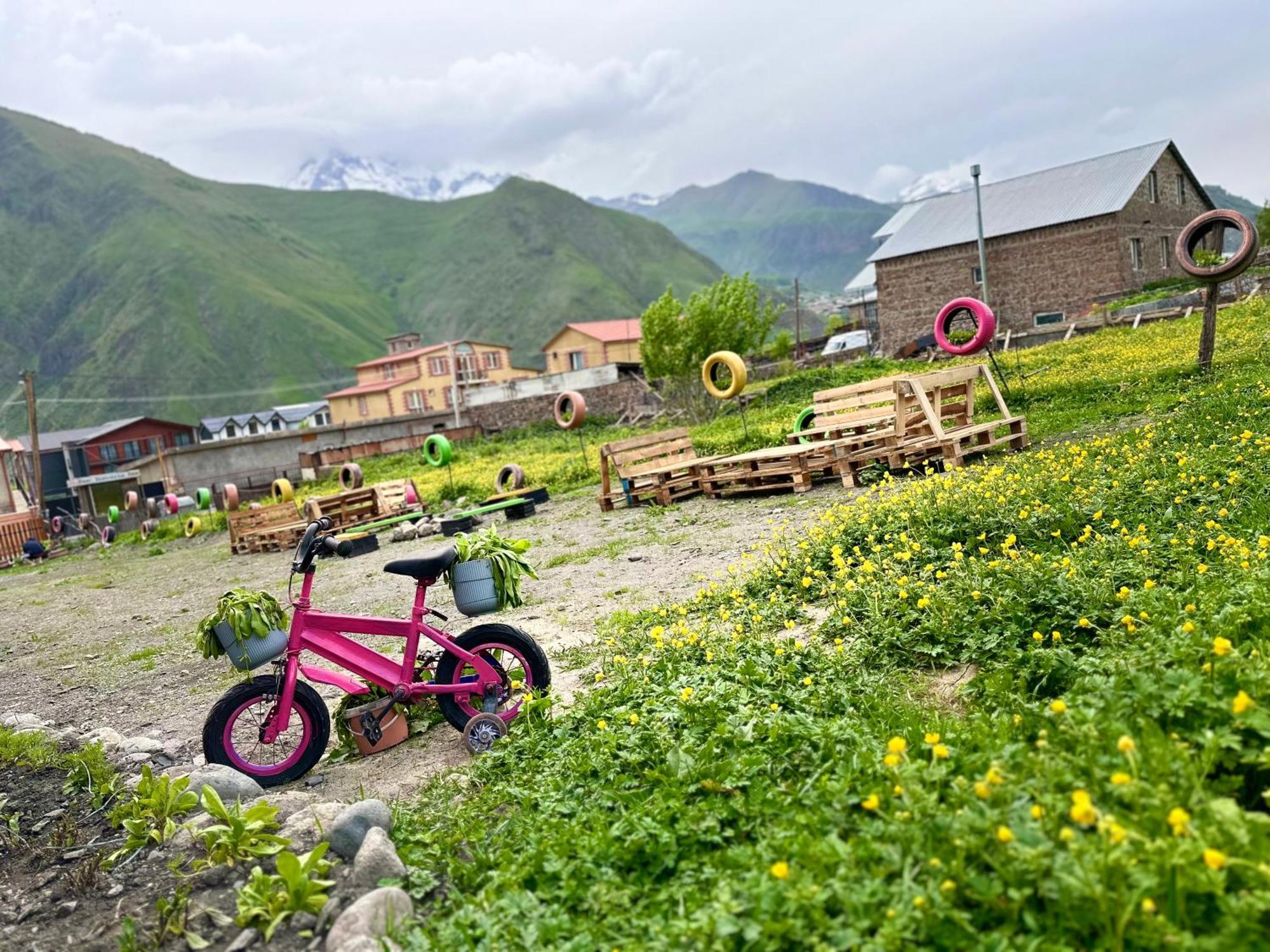 Royal Cottages Kazbegi Dış mekan fotoğraf